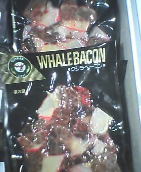 whale_bacon.jpg