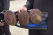 ueabalone02.JPG