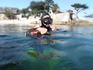 loverspointsharks003.JPG