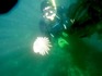 loverspointsharks004.JPG