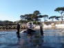 loverspointsharks005.JPG
