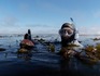 loverspointsharks006.JPG