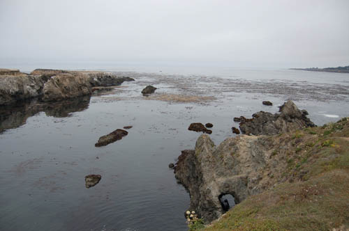 mendo01.JPG