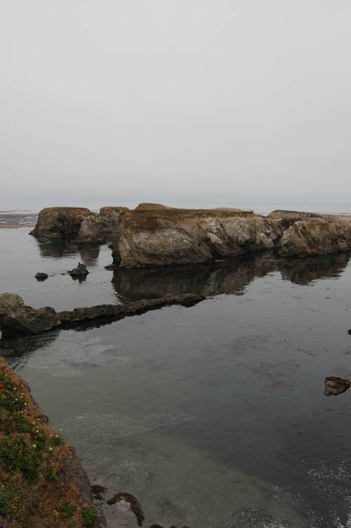 mendo02.JPG