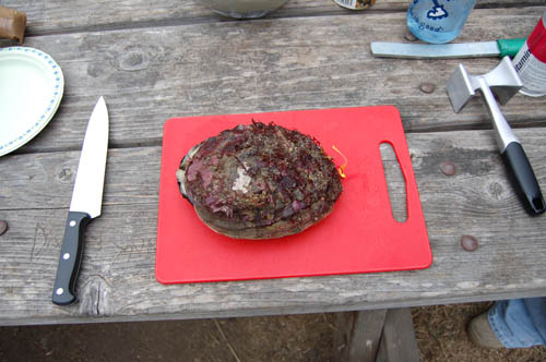 mendo06.JPG
