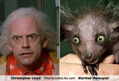 christopher-lloyd-thing.jpg