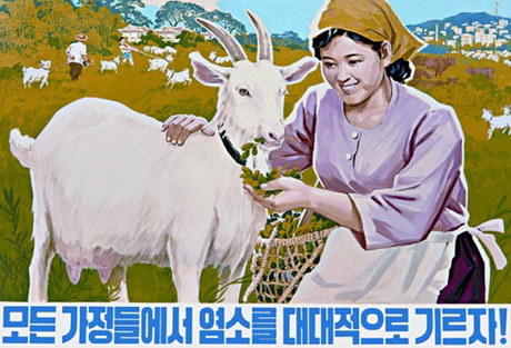ess_north_korean_39-460.jpg
