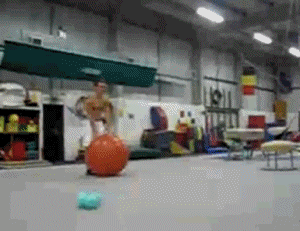 exer-ball.gif