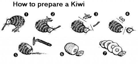 how-prepare.jpg
