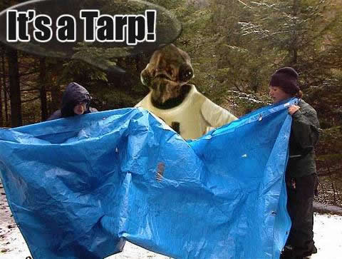 its-a-tarp.jpg