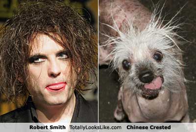 robert-smith-dog.jpg