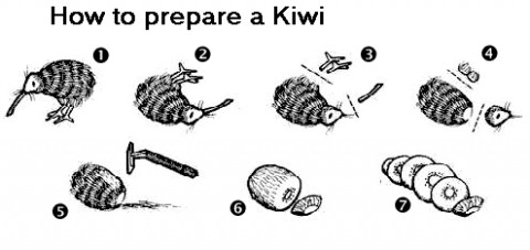 prepare-kiwi.jpeg