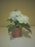 1109618806toilet-flowerpot_001.jpg